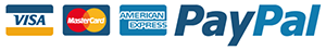 Essay writing service accepting paypal